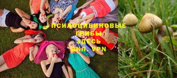 гидра Новокубанск