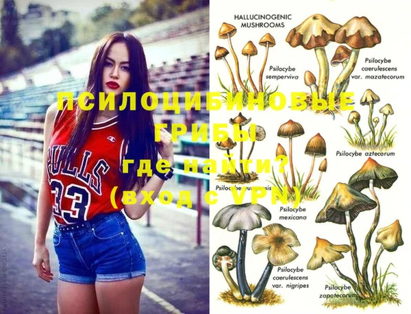 гидра Новокубанск