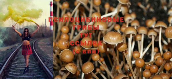 гидра Новокубанск