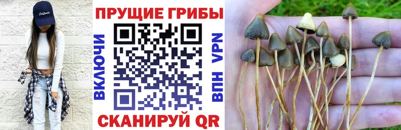 Галлюциногенные грибы мухоморы  Рязань 